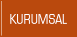 Kurumsal